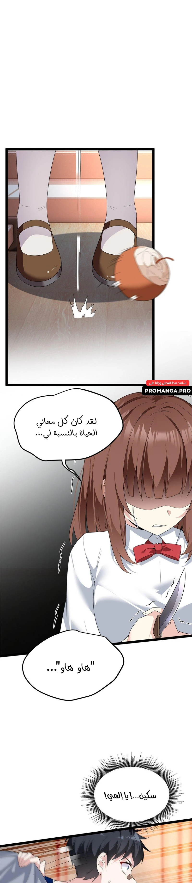 Chapter Image 19